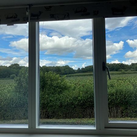 Withy Farm Bed & Breakfast Canterbury Ngoại thất bức ảnh